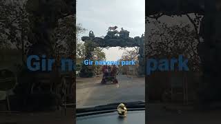 Gir national park🦁🦁🦁🥺 road junagadh, Gujarat #vlog  #youtubeshorts