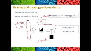 Introduction to pedigree charts