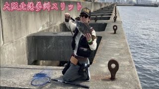 大阪北港夢洲スリットで【ヘチ釣り】