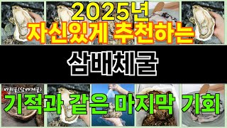 2025년 삼배체굴 매력을 발산하는 인기 상품 TOP 10