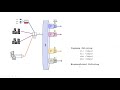 network traffic management qos on a routers that policer wred schedulers sp rr wrr wfq