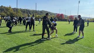 Roman Wilson Works after Hamstring Injury, TE Return | Steelers Sights \u0026 Sounds