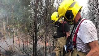 Large Forrest fire Near Verwood