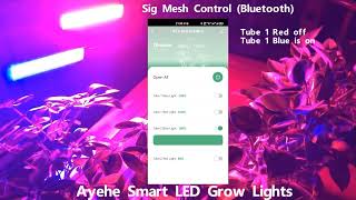 Ayehe Smart LED Grow Lights, Sig Mesh control, Dimmer