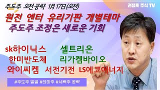 바이오 반도체 개별테마 전략