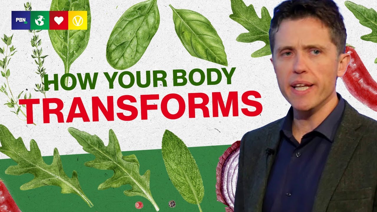 What A Plant Based Diet Does To Your Body 28 Days On A Vegan Diet What A Plant Based Diet Does To Your Body 28 Days On A Vegan Diet