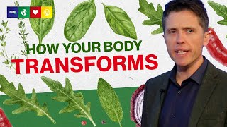 What A Plant Based Diet Does To Your Body? 28 Days on a Vegan Diet