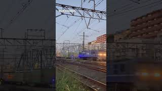 (貨物列車) 2024/10/12 52レ EF210-128 + コキ20B 福山レールエクスプレス (吹田タ〜東京タ) #Shorts