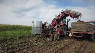 Carrot harvester / Récolteuse à carotte / G4 PRO - Univerco