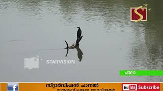 മീനച്ചിലാര്‍ പലയിടത്തും നീര്‍ച്ചാലായി മാറി