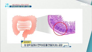 [기분 좋은 날] 면역세포의 공장 ＜장 점막＞ 건강법 20200330