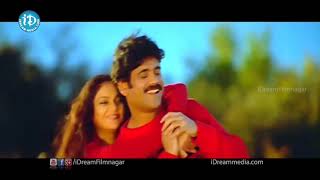Nuvvante Nakishtam Video Song - Santosham Movie -Nagarjuna, Gracy Singh, Shriya Saran