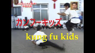 カンフーキッズ　天行健中国武術館 旧道場　2008年OA.