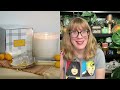 homeworx giant limoncello cupcake 4 wick luxe candle review 20% off sale