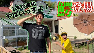 【前編】爬虫類館オープンから１年で進化した所を鰐さん本人に案内してもらったらずっと大興奮な1日に！？