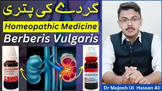 Kidney Stone Homeopathic Medicine - Berberis Vulgaris Q Homeopathic Medicine Uses