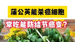 蒲公英能杀癌细胞     常吃能防结节癌变？   有什么依据吗？