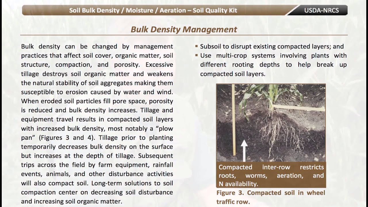 Soil Bulk Density Definition Soil Bulk Density Definition
