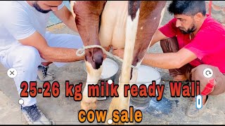 ਚੰਗੇ ਦੁੱਧ  ਤਿਆਰ ਵਾਲੀ ਵੈੜ ਸੇਲ।25-26 kg milk ready. ਦੂਸਰਾ ਸੂਆ ਸੂਈ।ਪਿੰਡ ਚੋਟੀਆ ਧਰਮਕੋਟ ਮੋਗਾ 8198000466