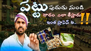 Pattu purugu nundi daram ala thistaru | how to extract thread from silkworm