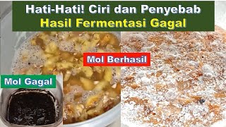 Hati-Hati! Ciri dan Penyebab Hasil Fermentasi Gagal