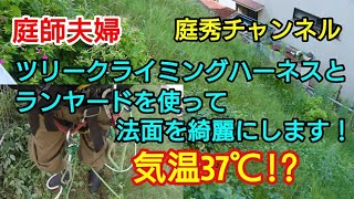 【庭師・夫婦で独立】＃64 ツリークライミングハーネスとランヤードを使って、法面の草刈りに挑戦しました！