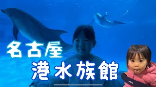 25.名古屋港水族館に行ったよ　ベルーガ•イルカ•シャチ　ショー　トレーニング　愛知　観光