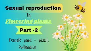 Sexual reproduction in flowering plants (Part-2) megasporogenesis, megagametogenesis, pollination.