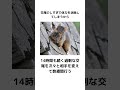 交尾のしすぎで絶滅の危機に瀕している動物 雑学 short shorts 金玉