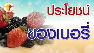 ประโยชน์ของ ผลไม้ตระกูลเบอรี่ | Healthy Full สุขภาพน่ารู้ | ใหม่จังจ้า