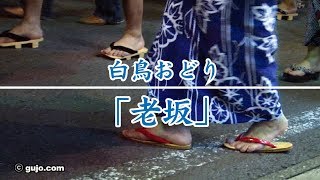 【岐阜県郡上市】白鳥おどり「老坂」