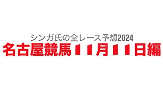 11月11日名古屋競馬【全レース予想】2024めんの日特別