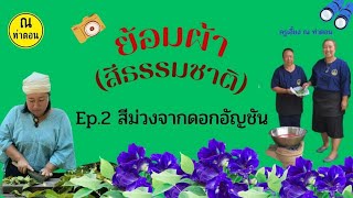 diy วิธีย้อมผ้าด้วยสีธรรมชาติ Ep.2(สีม่วงจากดอกอัญชัน)ง่ายๆ#Diy #สร้างงาน #สร้างรายได้