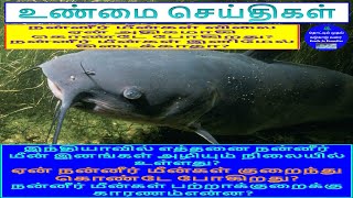 இந்தியாவின் நன்னீர் மீன்கள்/ FRESHWATER FISHES / CRADLE TO CREMATION  | தொட்டில் முதல் சுடுகாடு வரை