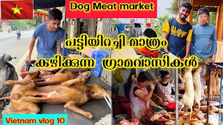 (VT/10)DOG meat market | Bike  യാത്ര ആരംഭിച്ചു ! പോയി പെട്ടത് പട്ടികളെ തിന്നുന്ന ഗ്രാമത്തിൽ