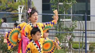 桜湖頭inあっぱれ富士2017初日）