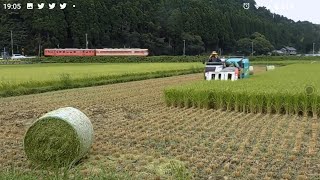 【いすみ鉄道】収穫の季節を行くキハ【2017年夏】