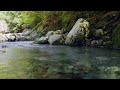 【自然の音】沢のせせらぎ 3 nature sounds the murmuring of the mountain stream 3