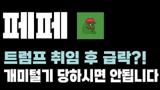 [페페 코인 전망] 트럼프 취임 후 급락? 개미털기 당하시면 안됩니다!