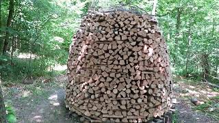 Holzhausen Firewood Stacking- A Traditional Technique