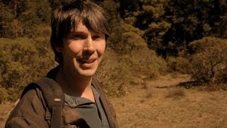 Monarch Butterfly - Wonders of Life - Episode 5 Preview - BBC