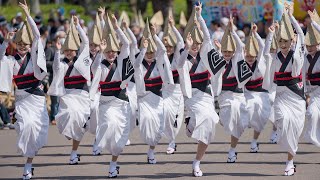 はなはるフェスタ2019・藝茶楽_20190420_本場徳島阿波おどり Awaodori in Tokushima Japan