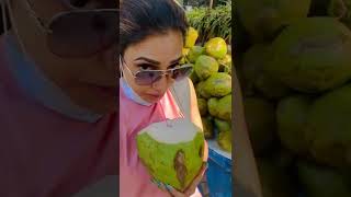 ഒരു കരിക്ക് കുടിക്കാൻ കേറിയ റിമി ചേച്ചി | Rimi Tomy Latest Video