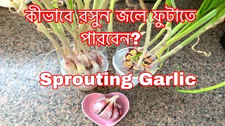 How to Sprout Garlic in water?| কীভাবে রসুন জলে ফুটাতে পারবেন?|Easy Method|Shokher Bagan UK 2021