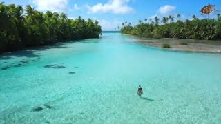 Join us Sailing Tahiti Islands on an Organized Cruise | Dream Yacht Charter
