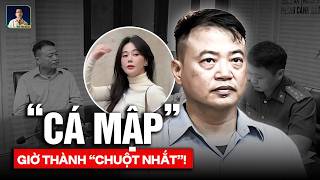 Phương Oanh Chỉ Biết Cười Trừ Trả Lời Dứt Khoát Khi Shark Bình Thêm Tội Rửa Tiền Câu Kết Với Mr Pips