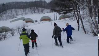 みなかみ　スノーシュー半日体験　新雪にGo!