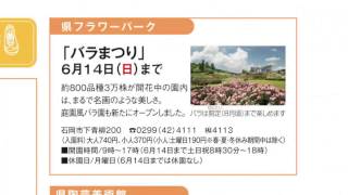 茨城県広報紙「ひばり」平成27年6月号