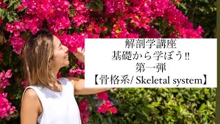 解剖学講座🦴第73回【完全版】骨格系Skeletal system/基礎からマスターしよう！！