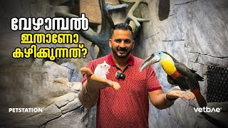 ഇത്‌ വേഴാമ്പൽ അല്ല കേട്ടോ.. വേഴാമ്പലിനേ നമുക്ക്‌ വളർത്താൻ അനുമതി ഇല്ല... ഇത്‌ Channel-Billed Toucan